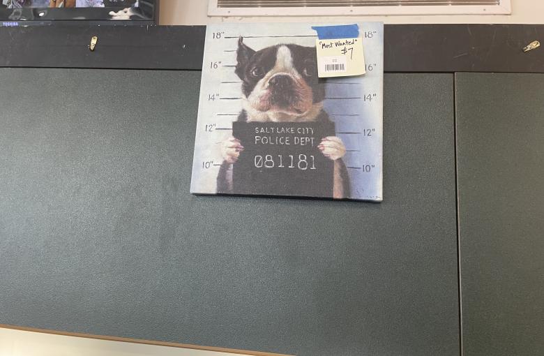 Criminal 