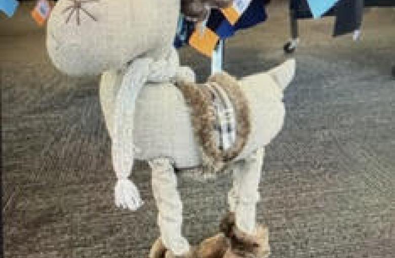Reindeer